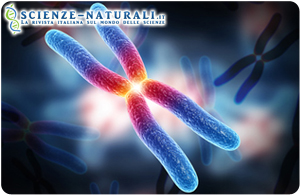 gene-tumore-ereditario-pancreas gene tumore ereditario del pancreas