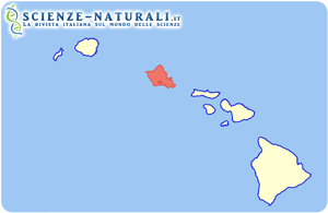 Hawaii. Posizione dell’Isola di Ohau (in rosa)