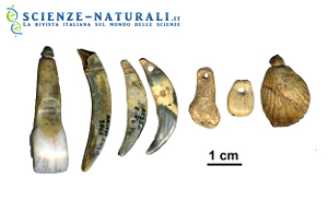 Ornamenti del corpo della Grotta du Renne realizzati dai Neanderthal, probabilmente imitando la produzione di utensili simili degli esseri umani moderni, loro vicini, forse Aurignaziani. (fonte: Nature)
