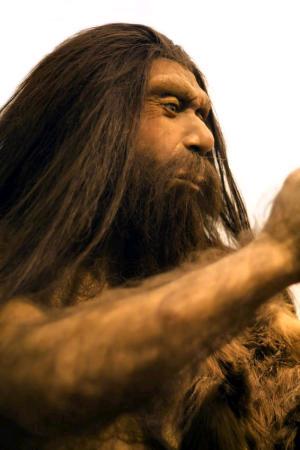 Gli ultimi Neanderthal vissero e si estinsero nella Penisola Iberica meridionale molto prima di quanto si pensasse in precedenza, circa 45mila anni fa e non 30mila, come finora si riteneva. I ricercatori spagnoli della UNED hanno partecipato alla datazione di campioni provenienti da due siti archeologici della Spagna centrale e meridionale. I nuovi dati mettono in discussione la teoria che Sapiens e Neanderthal abbiano vissuto nello stesso periodo di tempo nella Penisola Iberica meridionale durante il Pleistocene superiore.