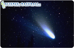Cometa di Halley. Una cometa simile a questa avrebbe rappresentato un terreno fertile per le molecole complesse come i dipeptidi. Le comete in collisione con la Terra avrebbero trasportato queste molecole e favorito la crescita delle proteine e degli zuccheri più complessi necessari per la vita (Fonte ANSA)