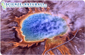  Gli Archei (Archaea) o archeobatteri sono stati trovati in ambienti estremi, come ad esempio sorgenti termali vulcaniche simili a quelle in figura, del Gran Prismatic Spring nel Parco Nazionale di Yellowstone (Fonte: Wikimedia)