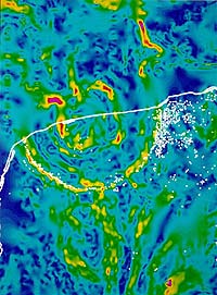 Carta delle anomalie gravimetriche nella penisola dello Yucatan (fonte: NASA)