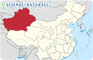 La regione del Xinjiang o Sinkiang, in Cina, dove è stata rinvenuta la nuova specie di dinosauro carnivoro