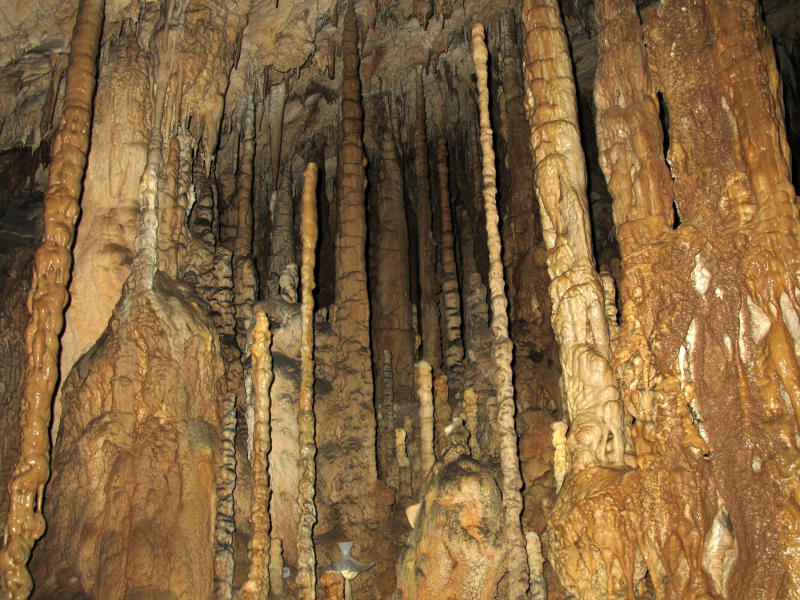 Camera segreta della grotta Clearwater Connection del Parco Nazionale Gunung Mulu nel Borneo malese (fonte: Sciencedaily)
