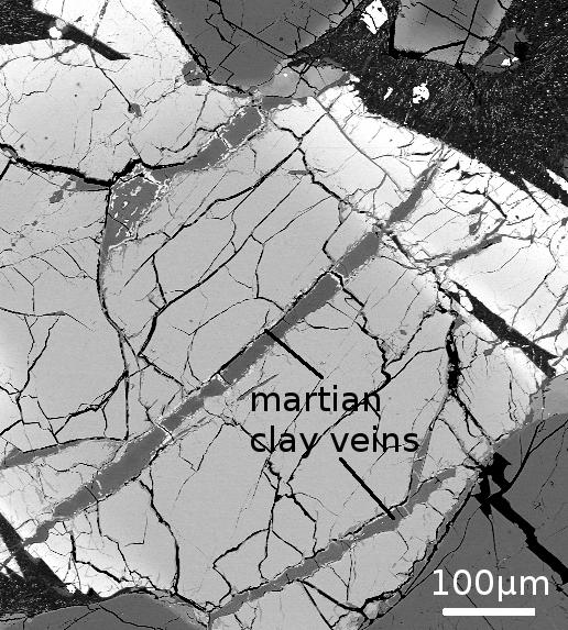 Immagine al microscopio elettronico che mostra le vene di argilla marziana, di 700 milioni di anni, contenente boro. 100 micron corrispondono ad un decimo di millimetro. (fonte: Istituto di Astronomia dell’Università delle Hawaii a Manoa)
