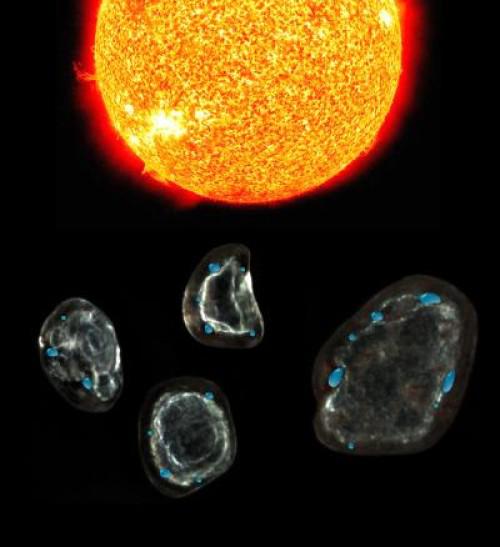 Sulle superfici delle particelle di polvere interplanetaria trasportate dal vento solare si formano cerchi amorfi, dovuti al trasporto nello spazio. Ioni idrogeno del vento solare reagiscono con l’ossigeno dei cristalli originando vescicole piene d’acqua (in blu). Questo meccanismo di formazione d’acqua si verifica quasi certamente in altri sistemi planetari con potenziali implicazioni per l’origine della vita in tutta la galassia. (credit: John Bradley, UH SOEST / LLNL)