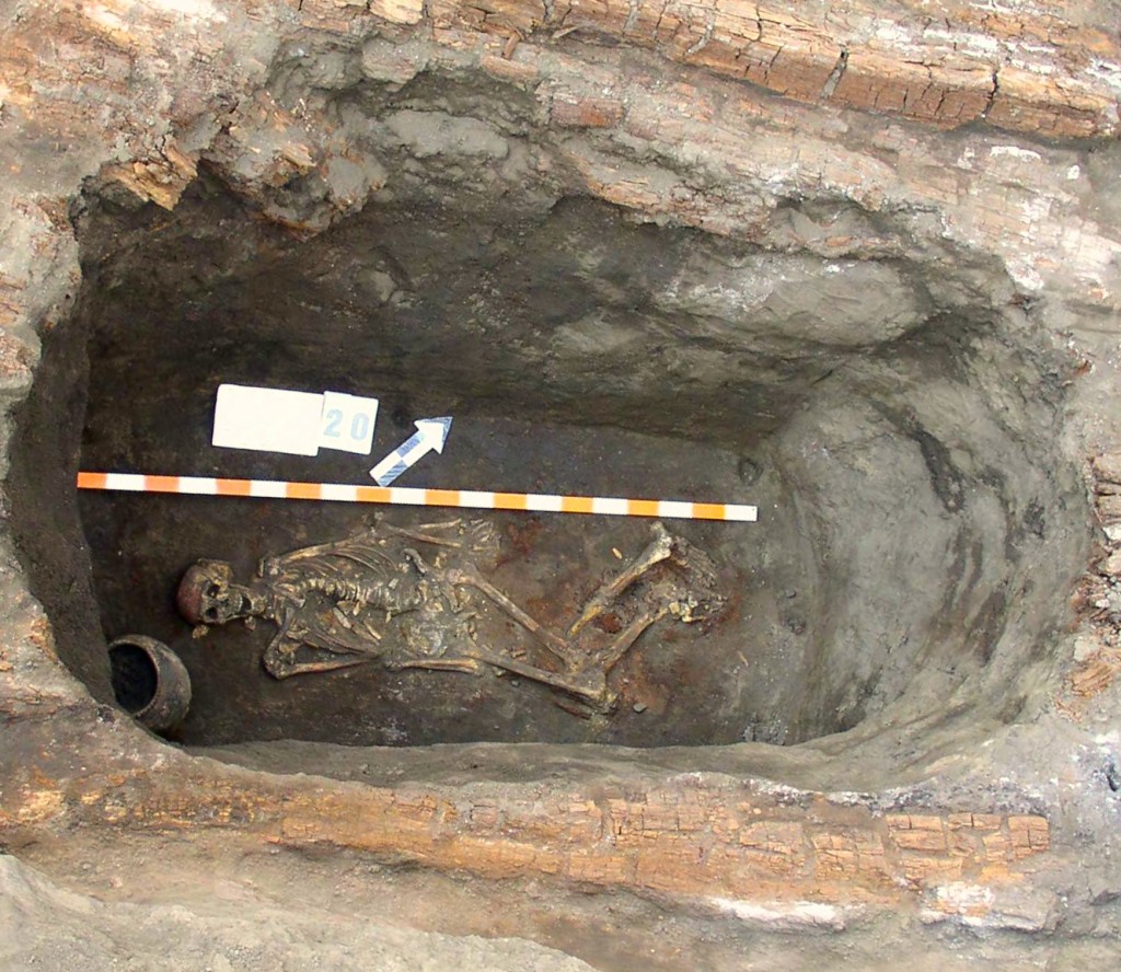 Scheletro in una tomba della cultura Yamnaya (Tarda età del Rame, 5000 anni fa), vicino alla città di Kirovograd, Ucraina (credit: Alla V. Nikolova)