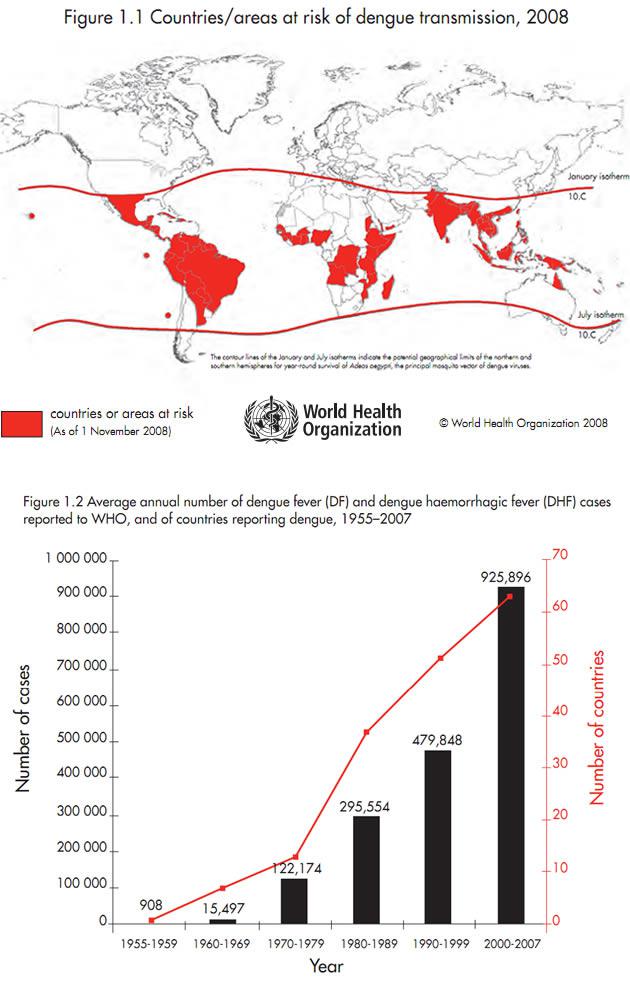 Diffusione della Dengue, dati 2008 – (Fonte WHO)