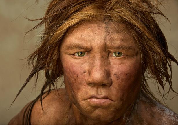 Neanderthal Museum, Germania