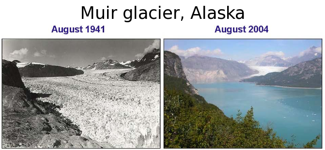 Scioglimento del ghiacciaio Muir, Alaska. (Fonte Ingdemurtas)