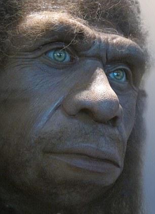 Alcune ipotesi indicano che i Neanderthal potessero avere gli occhi chiari. (Fonte Astor/Alamy)