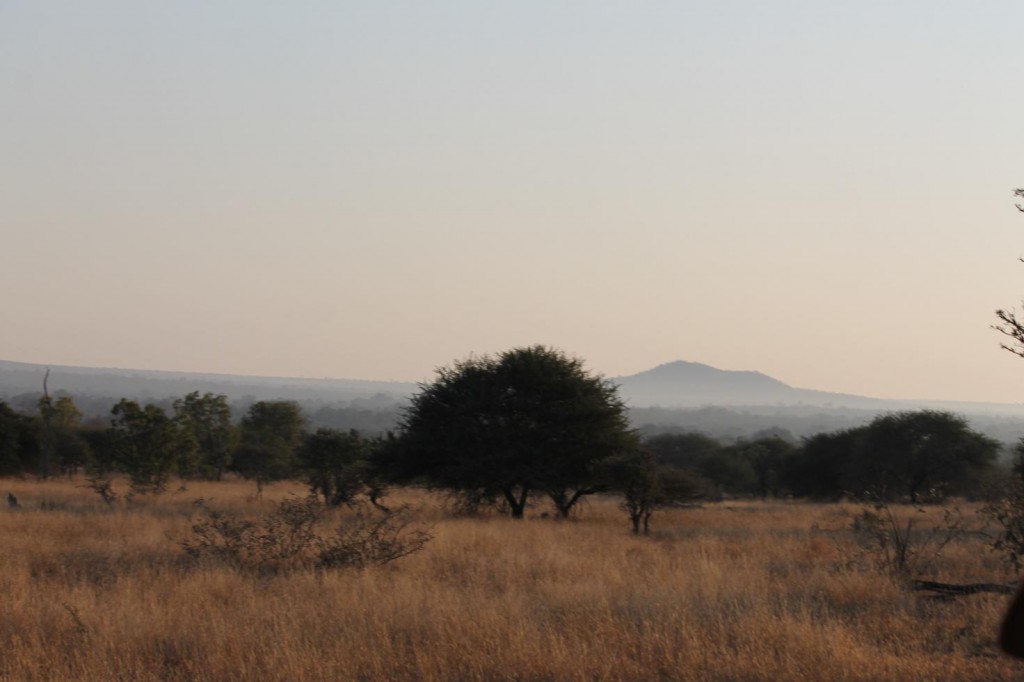 Savana sudafricana (foto di M.C. Giuditta)