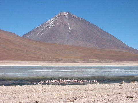 Il vulcano Licancabur, un vulcano attivo dell’arco continentale delle Ande, sul confine tra Cile e Bolivia, si erge sullo sfondo di un lago e di una colonia di fenicotteri (credit: Brian Horton)